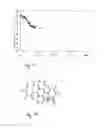 Fig. 09 - Optical device with anisotropic luminescent material