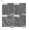 Fig. 02 - METHOD FOR CONTROLLING SELF-ASSEMBLED SRUCTURE OF POLY(3-HEXYLTHIOPHENE)-BASED BLOCK COPOLYMER
