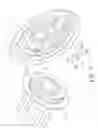 Fig. 06 - Bicycle hub