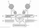 Fig. 01 - FEEDING MECHANISM FOR CONTINUOUS PROCESSING OF ELONGATE BASE MATERIAL, PROCESSING APPARATUS AND THIN FILM FORMING APPARATUS USING THE SAME, AND ELONGATE MEMBER PRODUCED THEREBY