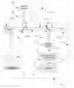 Fig. 01 - Laser thermal imaging