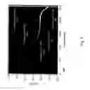 Fig. 07 - Optical imaging system