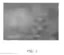 Fig. 02 - Carbon nanotube composite, method for making the same, and electrochemical capacitor using the same