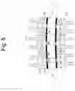 Fig. 08 - Method and apparatus for longitudinal orientation of thermoplastic film material