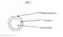 Fig. 02 - Magical Power