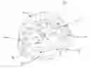 Fig. 01 - Overmolded LED light assembly and method of manufacture
