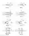 Fig. 02 - ELECTROMAGNETICALLY-COUNTERED SYSTEMS AND METHODS BY MAXWELL EQUATIONS