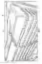 Fig. 11 - Method for the automatic material classification and texture simulation for 3D models
