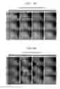 Fig. 07 - Apparatus and method for color rolling suppression