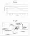 Fig. 08 - Liquid Crystal Device