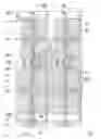 Fig. 01 - Pixel array, polymer stabilized alignment liquid crystal display panel, and electro-optical apparatus