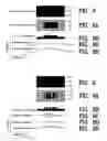 Fig. 06 - Security system for printed material