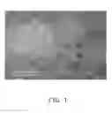 Fig. 02 - Carbon nanotube composite, method for making the same, and electrochemical capacitor using the same
