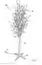 Fig. 02 - LED molded tree branches with blossoms