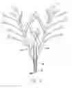 Fig. 09 - LED molded tree branches with blossoms