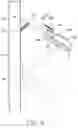 Fig. 06 - LAMP WITH SNOW REMOVING STRUCTURE