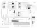 Fig. 01 - Multi-energy vehicle illuminating system and method