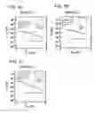 Fig. 06 - SEMICONDUCTOR MEMORY DEVICE AND OPERATION METHOD THEREOF