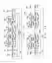 Fig. 02 - Novel punch-through free program scheme for nt-string flash design