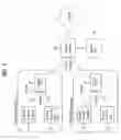 Fig. 09 - Digital broadcasting system and method of processing data in digital broadcasting system