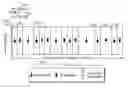 Fig. 01 - Flexible OFDM/OFDMA frame structure for communication systems