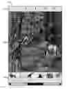 Fig. 01 - GRAPHICAL IMAGE AUTHENTICATION