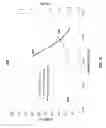 Fig. 15 - Stretcher fiber and module