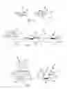 Fig. 02 - Weld Rivet Joint