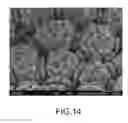 Fig. 09 - BIOSENSOR AND METHOD FOR MAKING SAME