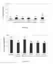 Fig. 05 - Anti-c-Met antibody