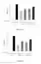 Fig. 08 - Anti-c-Met antibody