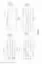 Fig. 25 - Anti-c-Met antibody
