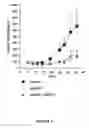 Fig. 34 - Anti-c-Met antibody