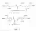 Fig. 02 - RADIOLABELING METHOD USING MULTIVALENT GLYCOLIGANDS AS HEPATIC RECEPTOR IMAGING AGENT