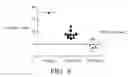 Fig. 06 - Quantification method for remaining liver function and novel liver receptor imaging agent