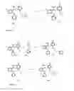 Fig. 07 - PHENYLOXYANILINE DERIVATIVES
