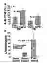 Fig. 01 - Stem cells treated by in vitro fucosylation and methods of use