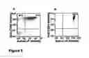 Fig. 06 - Stem cells treated by in vitro fucosylation and methods of use