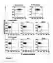 Fig. 08 - Stem cells treated by in vitro fucosylation and methods of use