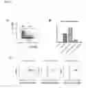 Fig. 09 - Method for the identification and separation of non-regulatory T-cells from a mixture of regulatory T-cells