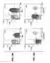 Fig. 06 - Modulation of T cell Differentiation for the treatment of T helper cell mediated diseases