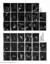 Fig. 08 - Methods and compositions for increasing the activity of inhibitory RNA