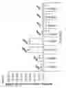 Fig. 33 - Methods and compositions for increasing the activity of inhibitory RNA