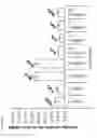 Fig. 35 - Methods and compositions for increasing the activity of inhibitory RNA