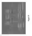 Fig. 44 - THERAPEUTIC AND DIAGNOSTIC AGENTS