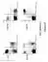 Fig. 49 - THERAPEUTIC AND DIAGNOSTIC AGENTS