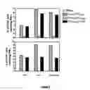 Fig. 05 - Composition for eliciting a specific CTL response, comprising a lympho-ablative compound and a molecule that contains antigenic sequences and targets professional antigen presenting cells