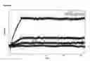 Fig. 33 - Fully human anti-VEGF antibodies and methods of using