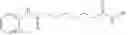 Fig. 67 - Fully human anti-VEGF antibodies and methods of using
