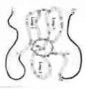Fig. 01 - Polynucleotide encoding a sclerostin-binding antibody
